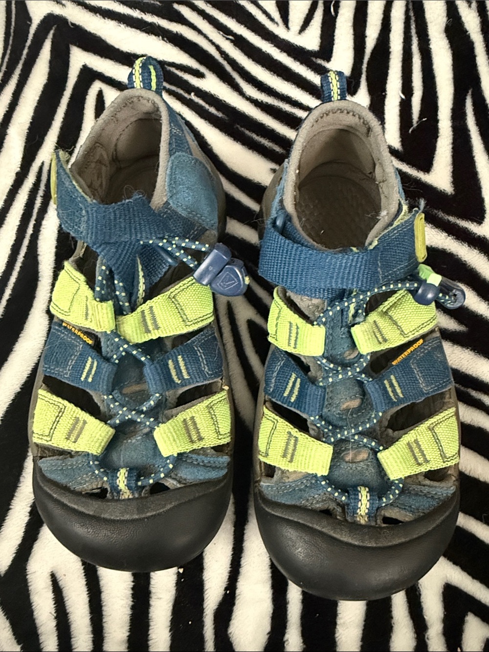 Kids Keen Blue and Lime Active Sandals